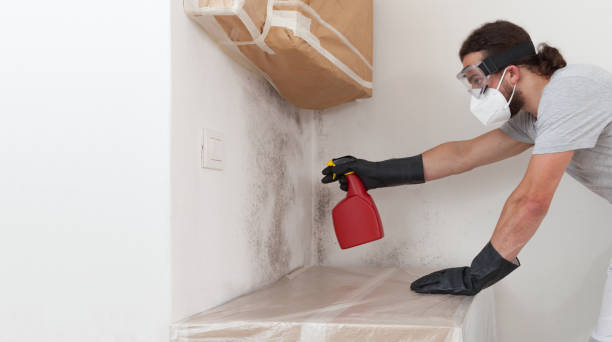 Professional Crawl Space Mold Removal technician working in Riverside, NY