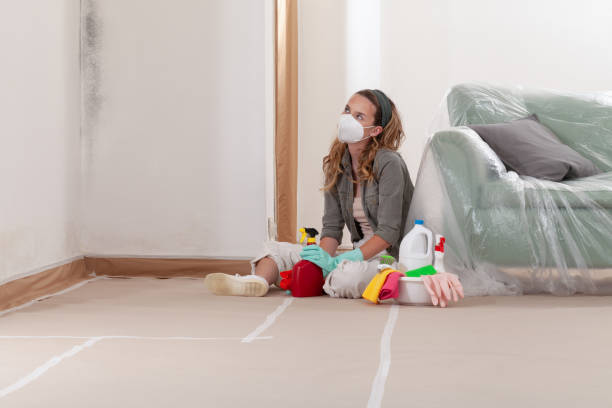 Trusted Crawl Space Mold Removal service in Riverside, NY - WQB Mold Removal